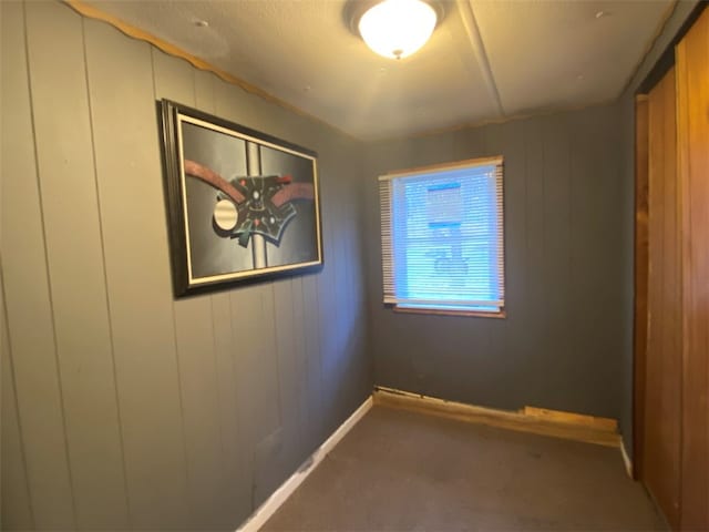 empty room featuring wood walls and carpet floors