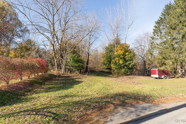 view of yard featuring a shed