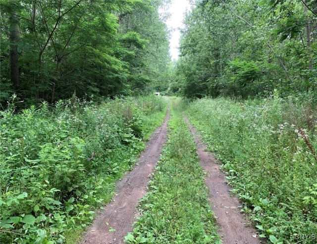 view of nature