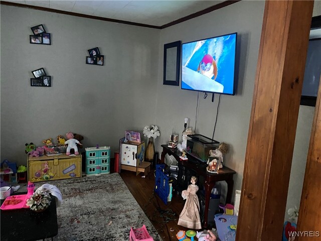 recreation room featuring hardwood / wood-style floors and crown molding