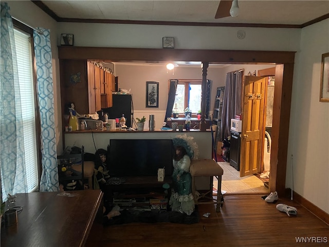 living room with ornamental molding, light hardwood / wood-style floors, and ceiling fan