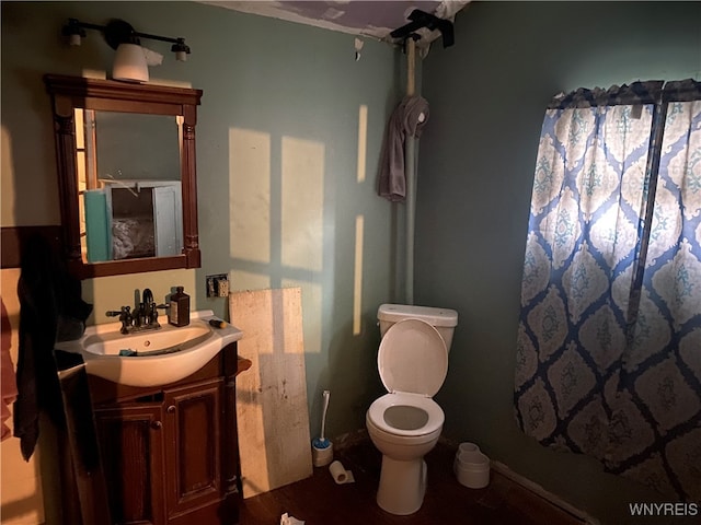 bathroom with vanity and toilet