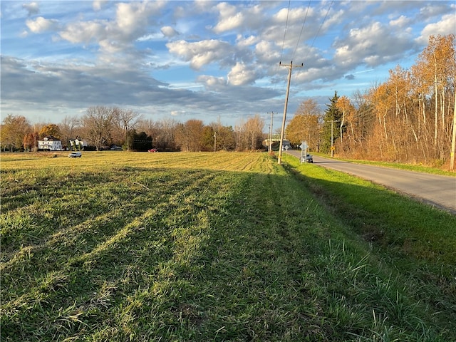 Butts Rd, Albion NY, 14411 land for sale