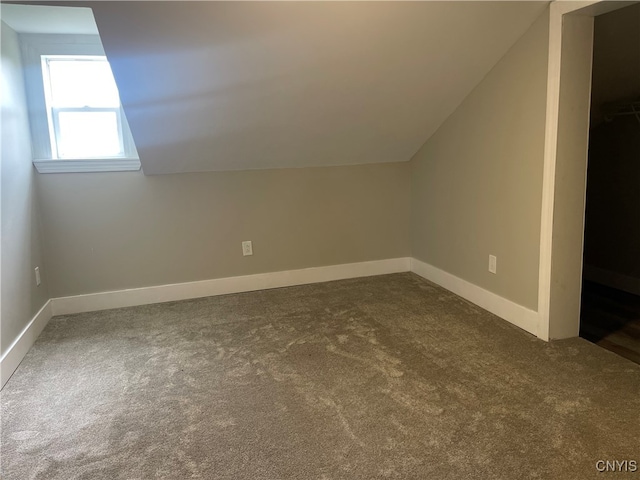 additional living space with lofted ceiling and carpet flooring