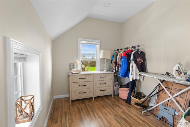 spacious closet with vaulted ceiling and dark hardwood / wood-style flooring