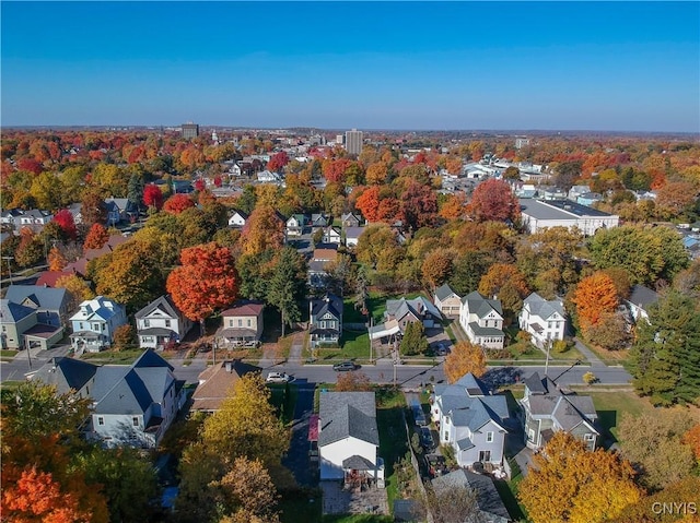 bird's eye view