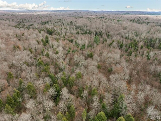 0 Christman Rd, Ohio, NY 13324 - photo 16
