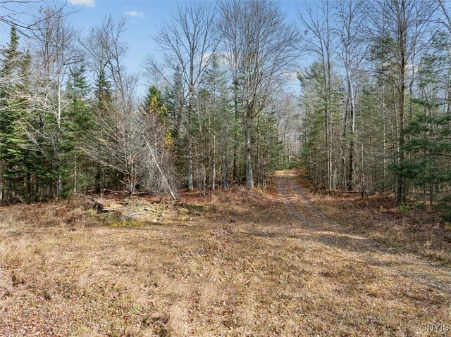 0 Christman Rd, Ohio, NY 13324 - photo 18