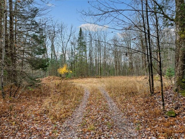 0 Christman Rd, Ohio, NY 13324 - photo 19