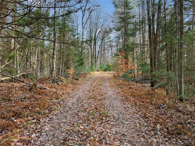0 Christman Rd, Ohio, NY 13324 - photo 3