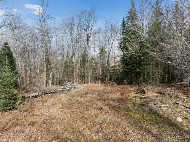 0 Christman Rd, Ohio, NY 13324 - photo 6