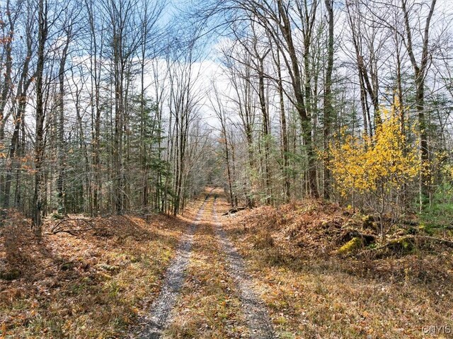 0 Christman Rd, Ohio, NY 13324 - photo 7