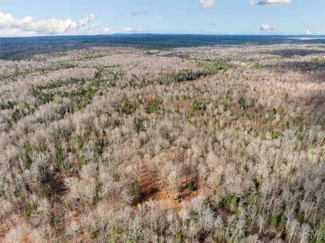 0 Christman Rd, Ohio, NY 13324 - photo 9
