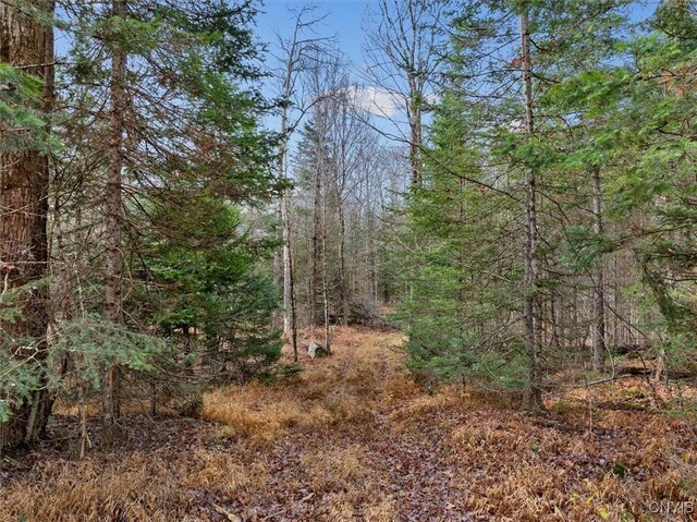 0 Christman Rd, Ohio, NY 13324 - photo 11