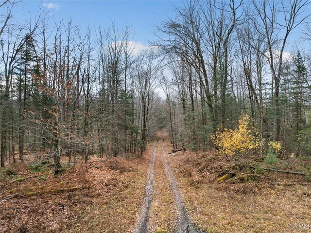 0 Christman Rd, Ohio, NY 13324 - photo 12