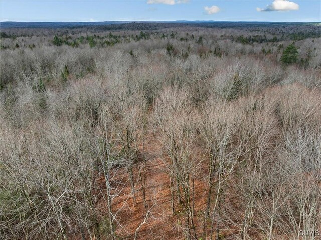 0 Christman Rd, Ohio, NY 13324 - photo 13