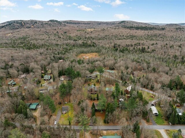 drone / aerial view featuring a mountain view