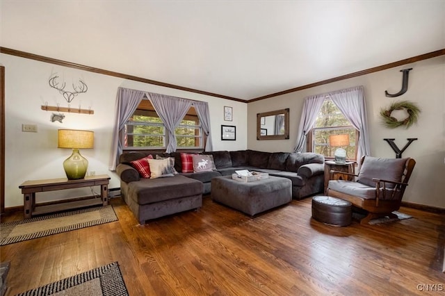 living room featuring wood-type flooring, crown molding, and a healthy amount of sunlight