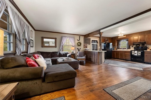 living room with dark hardwood / wood-style floors and crown molding