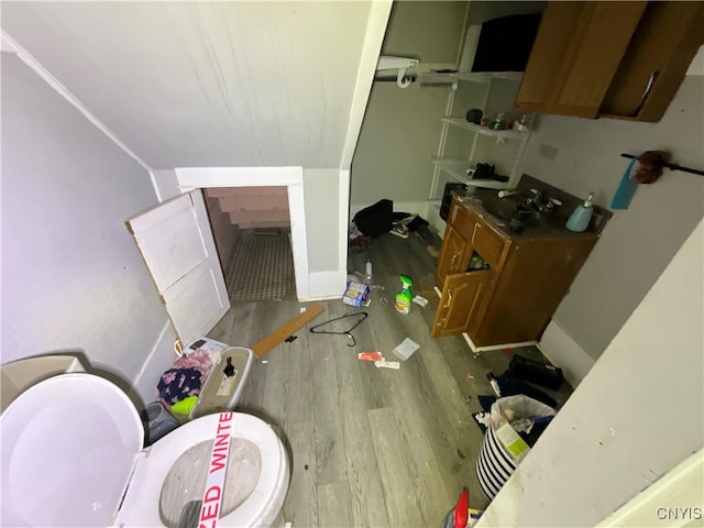 bathroom with hardwood / wood-style floors