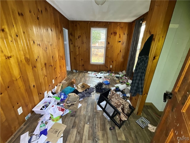 miscellaneous room featuring dark hardwood / wood-style flooring and wooden walls