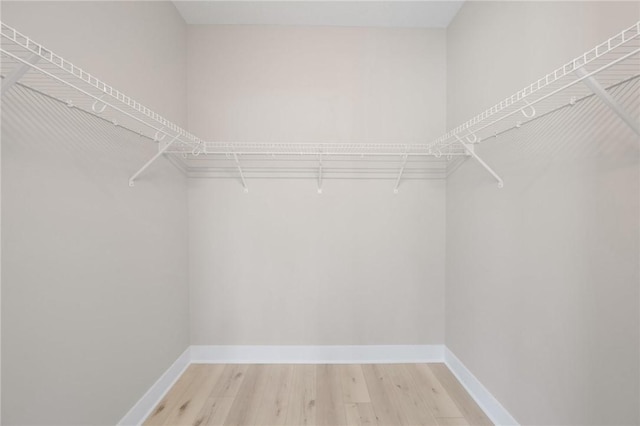 walk in closet with hardwood / wood-style flooring