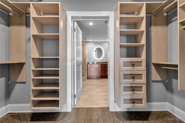 spacious closet featuring carpet