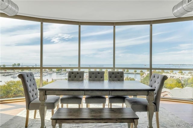 sunroom with a water view and a healthy amount of sunlight