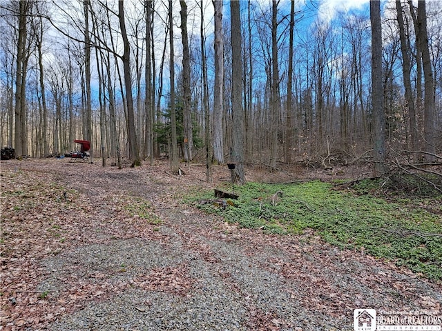 10138 Lake View Ave, Mina NY, 14724 land for sale