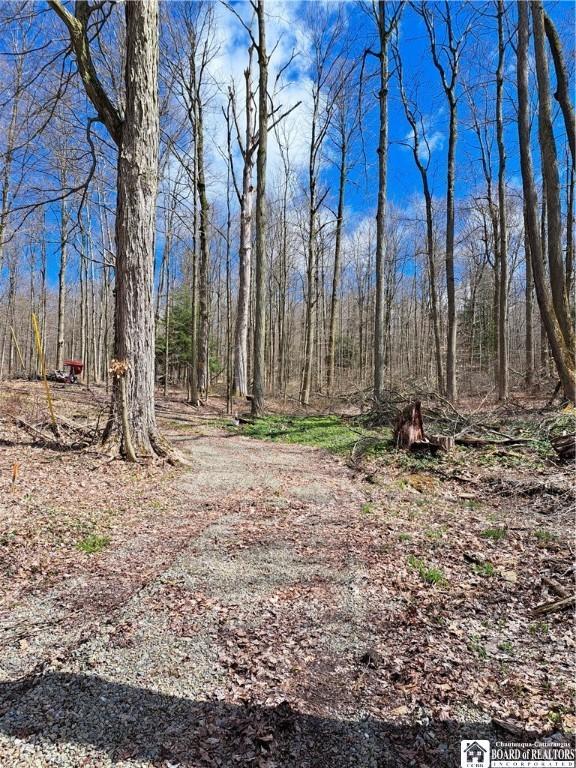 10138 Lake View Ave, Mina, NY 14724