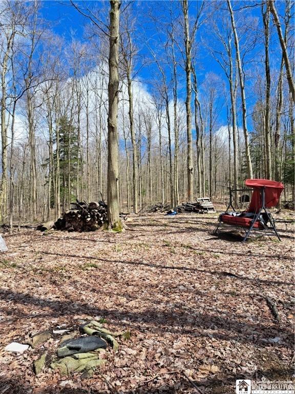 10138 Lake View Ave, Mina, NY 14724