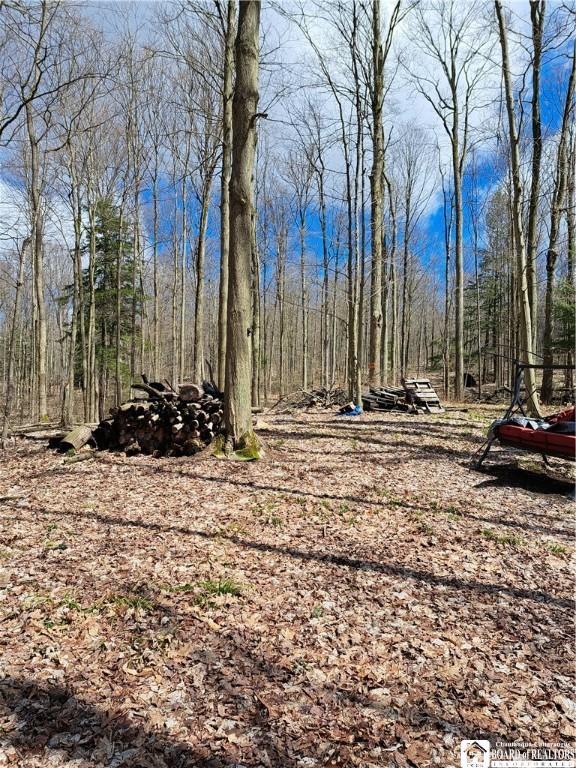 10138 Lake View Ave, Mina, NY 14724