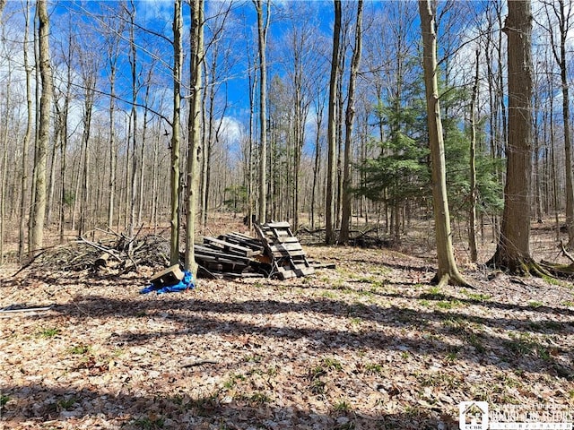 10138 Lake View Ave, Mina, NY 14724