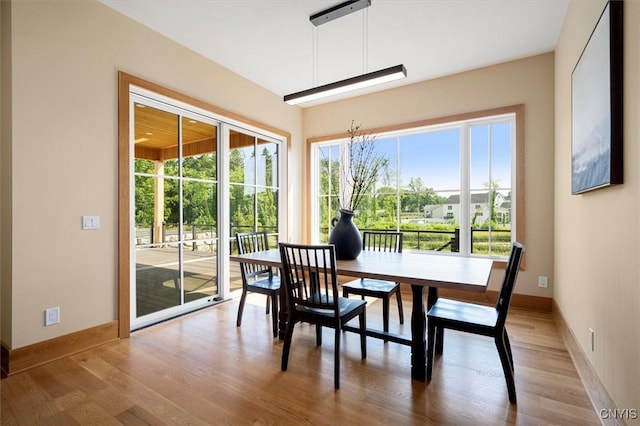 dining room featuring light wood-type flooring