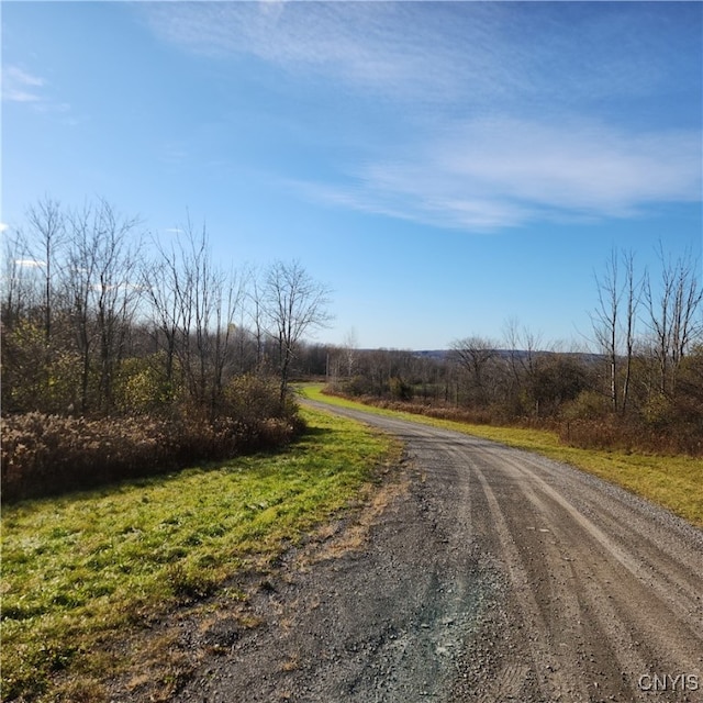 00 Grand View Dr, Schuyler NY, 13340 land for sale