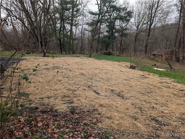 3825 Creek Rd, Yorkshire, NY 14030