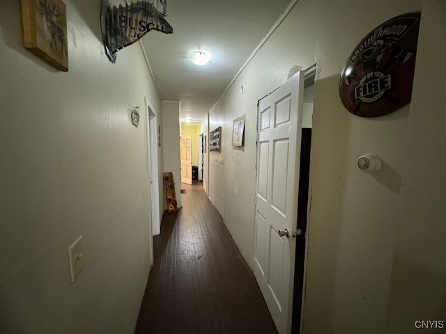 corridor with dark hardwood / wood-style floors