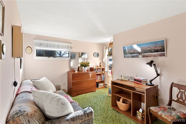 living area with carpet floors