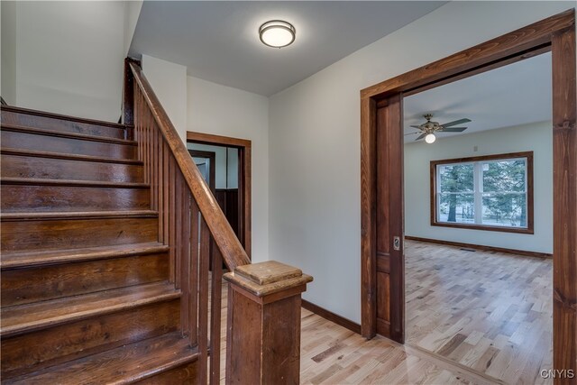 stairway featuring ceiling fan and wood-type flooring