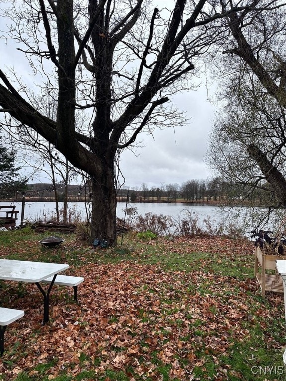 view of yard with a water view