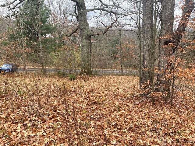 00 Brandes Rd, Willing, NY 14895 - photo 12