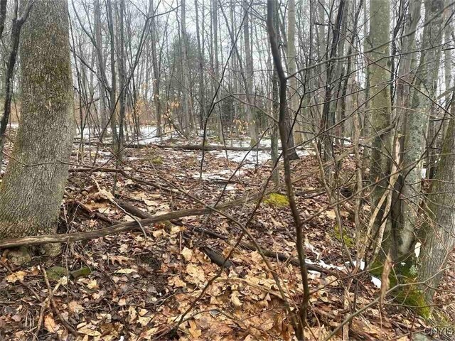 00 Brandes Rd, Willing, NY 14895 - photo 13