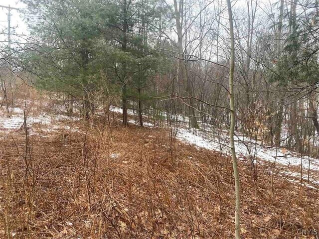 00 Brandes Rd, Willing, NY 14895 - photo 14