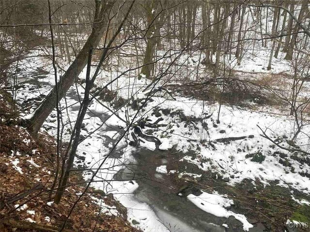 00 Brandes Rd, Willing, NY 14895 - photo 15