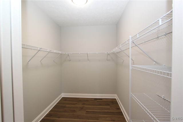 walk in closet featuring dark wood-type flooring