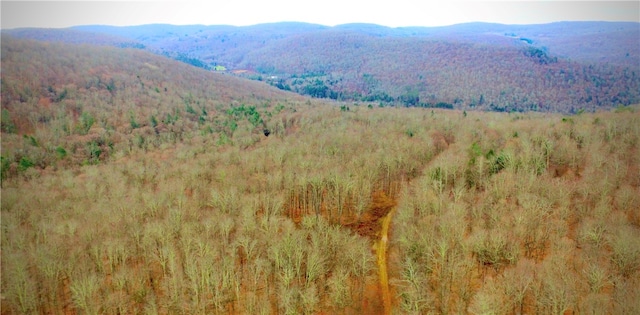 Petersen Rd, Hancock, NY 13783