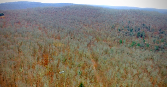 Petersen Rd, Hancock, NY 13783