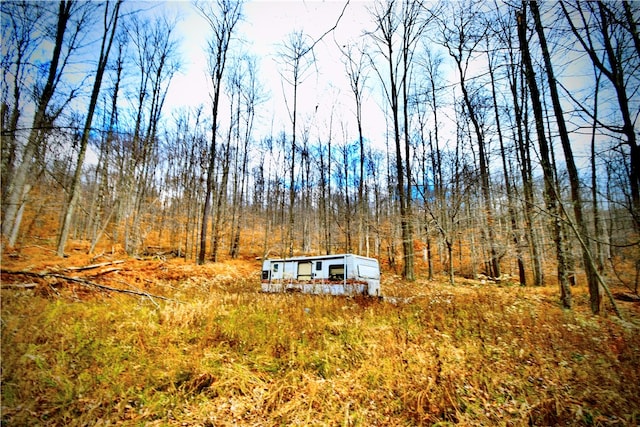 Petersen Rd, Hancock, NY 13783