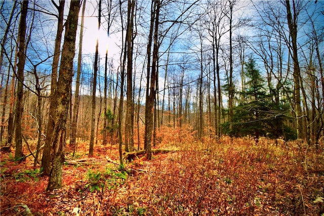 Petersen Rd, Hancock, NY 13783