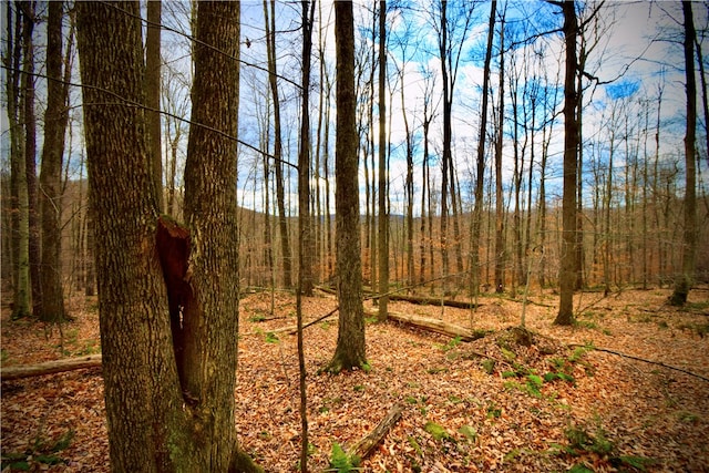 Petersen Rd, Hancock, NY 13783